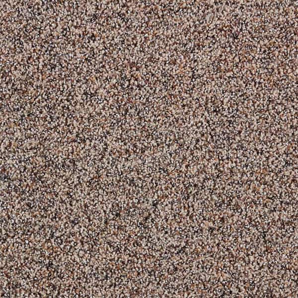 Playful Moments II - Pecan Bark - Brown 50 oz. Triexta Texture Installed Carpet