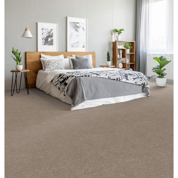First Class II - Daystar - Beige 50 oz. SD Polyester Texture Installed Carpet
