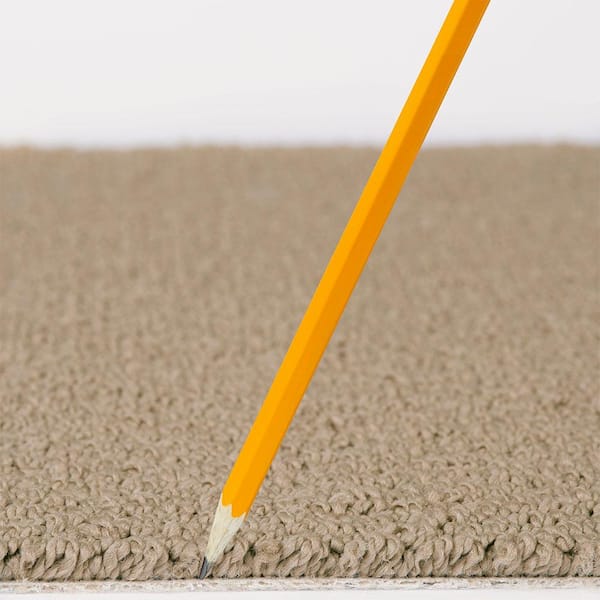 Lightbourne - Milk Chocolate - Brown 39.3 oz. Nylon Loop Installed Carpet