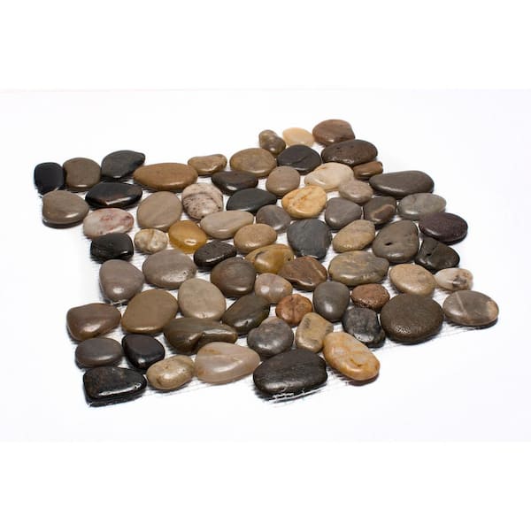 12 in. x 12 in. Mixed Mid-Polish Pebble Stone Floor and Wall Tile (5.0 sq. ft. / case)
