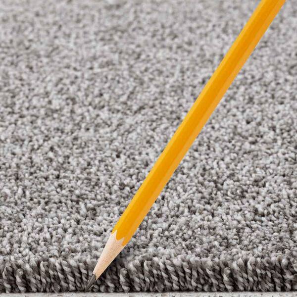 Tides Edge  - Sentinel - Gray 50 oz. Triexta Texture Installed Carpet