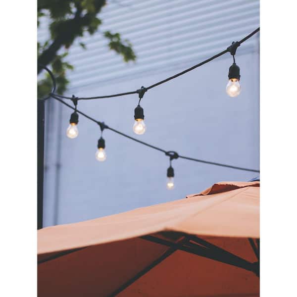 Ambience Pro 7-Light 24 ft. Indoor/Outdoor Plug-in S14 2700K LED Edison Bulb String -Light