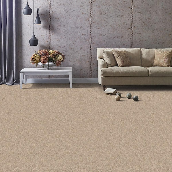 Founder - Ruler - Beige 18 oz. SD Polyester Texture Installed Carpet