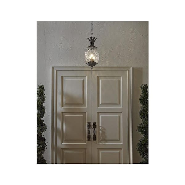 Lanai Collection 3-Light Black Coral Outdoor Hanging Light Fixture
