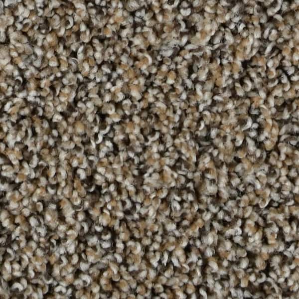 Captain  - Rochester - Brown 35 oz. SD Polyester Texture Installed Carpet