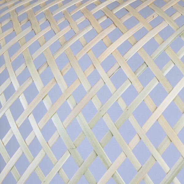 Luca 60-Watt 1-Light Black Pendant with Natural Cane Shade