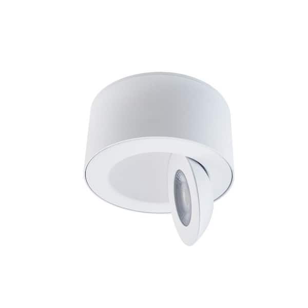 Peek 1-Light White LED Outdoor Flush Mount Light with Universal Voltage and Selectable CCT