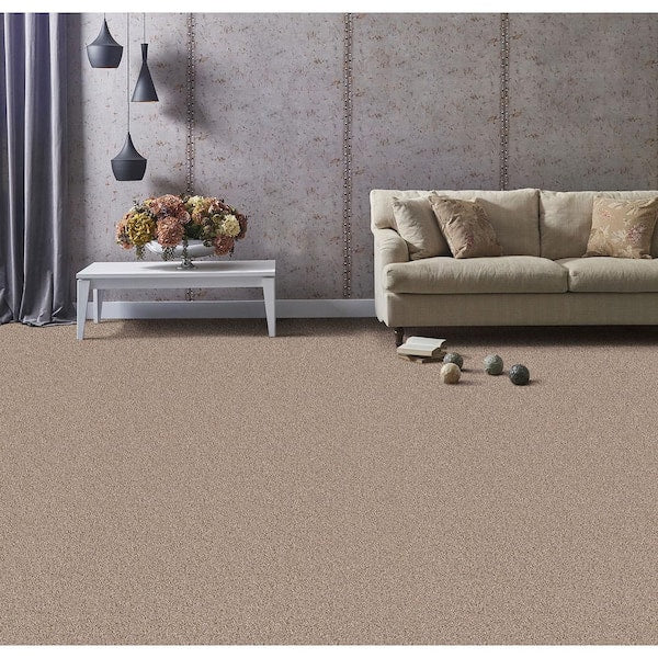 Founder - Author - Brown 18 oz. SD Polyester Texture Installed Carpet