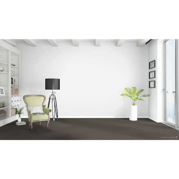 Dream Wish  - Focus - Gray 32 oz. SD Polyester Texture Installed Carpet