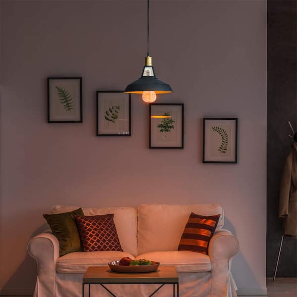 5-Watt Natural Salt Edison LED Night Light Bulb (6-Pack)