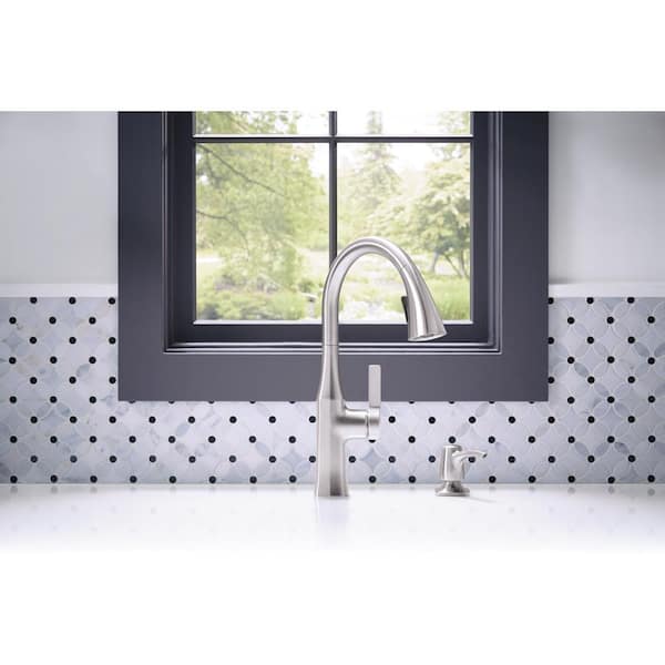 Rubicon Single-Handle Pull-Down Sprayer Kitchen Faucet in Vibrant Stainless