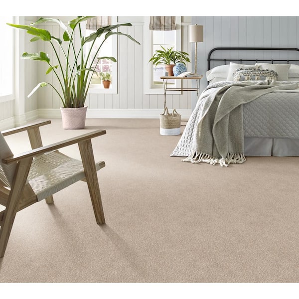 Fluffy Expectations - Granola - Brown 56.2 oz. Nylon Texture Installed Carpet