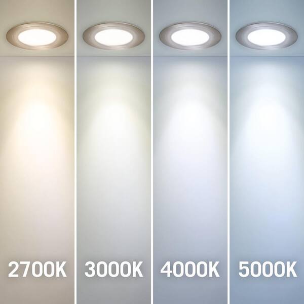 PureVue Dimmable Daylight White (5000K) LED Matte White Puck Light