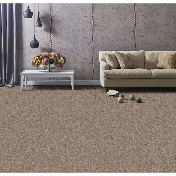 Founder - Leader - Brown 18 oz. SD Polyester Texture Installed Carpet