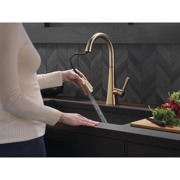 Lenta Single-Handle Pull-Down Sprayer Kitchen Faucet with ShieldSpray Technology in Champagne Bronze