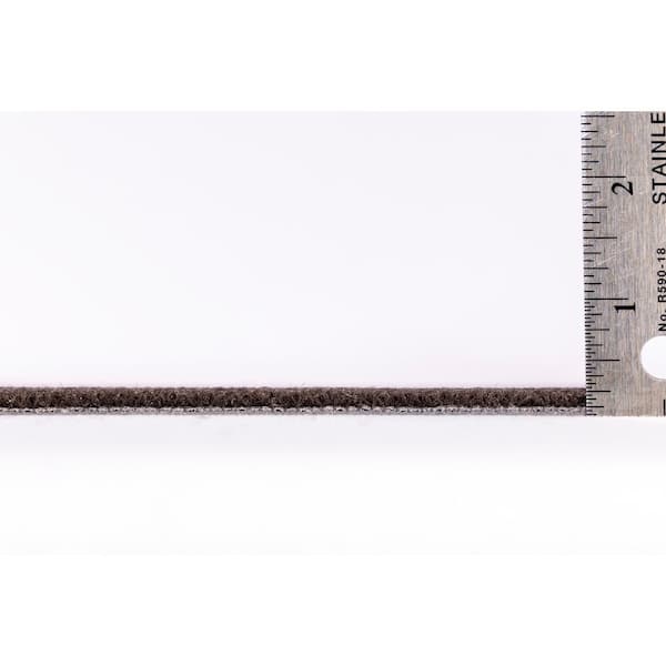 Fenney Lucas Residential/Commercial 24 in. x 24 in. Glue-Down Carpet Tile (18 Tiles/Case) (72 sq. ft.)