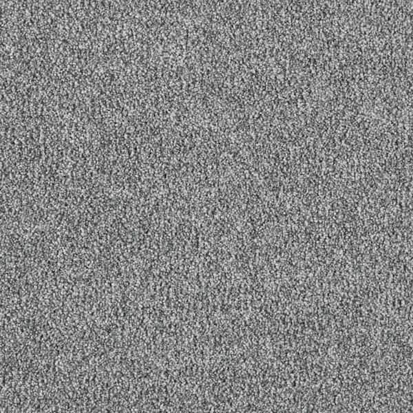 Tides Edge  - Danube - Blue 50 oz. Triexta Texture Installed Carpet