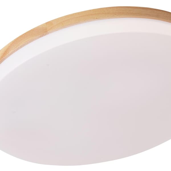 15 in. 1-Light White Creative Design Simple Circle 25-Watt Integrated LED Flush Mount Ceiling Lighting