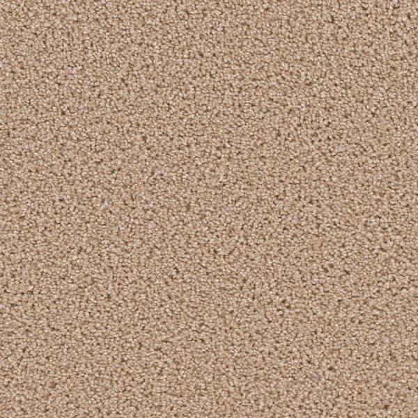 Added Value  - Tally - Gray 24 oz. SD Polyester Texture Installed Carpet