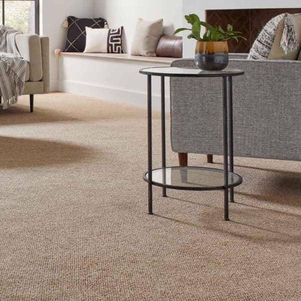 Hanville  - Salutation - Brown 27 oz. SD Polyester Loop Installed Carpet