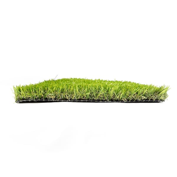 Eco 56 Silver + Field Green 12 ft. Wide x Cut to Length Green Artificial Grass Carpet