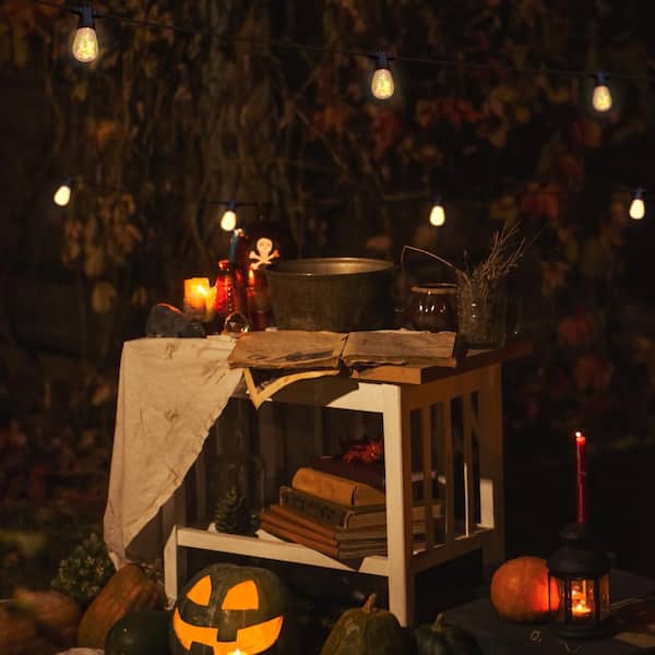 Ambience Pro 12-Light 27 ft. Outdoor Solar 1W 2700k LED S14 Edison Flame Bulb String-Light