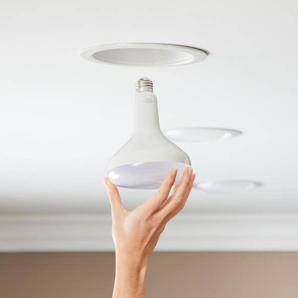 75-Watt Equivalent BR40 Dimmable LED Light Bulb Soft White (12-Pack)