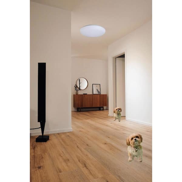 19 in. Cool White Mushroom Indoor LED Flush Mount