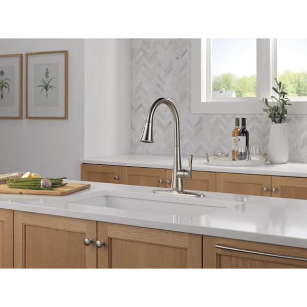 Banks Single-Handle Pull-Down Sprayer Kitchen Faucet with ShieldSpray in Stainless
