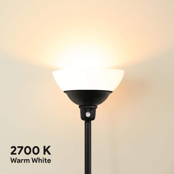 69 in. Black Steel Floor Lamp with Acid Etched Glass Lens