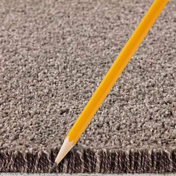 Gazelle II  - Ancestral - Beige 55 oz. Triexta Texture Installed Carpet