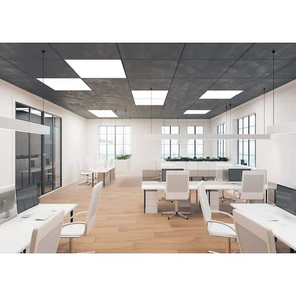 E2BPL 2 ft. x 4 ft. 4500 Lumens Integrated LED Panel Light, 5000K Daylight Dimmable 36-Watt Flat Panel (2-Pack)