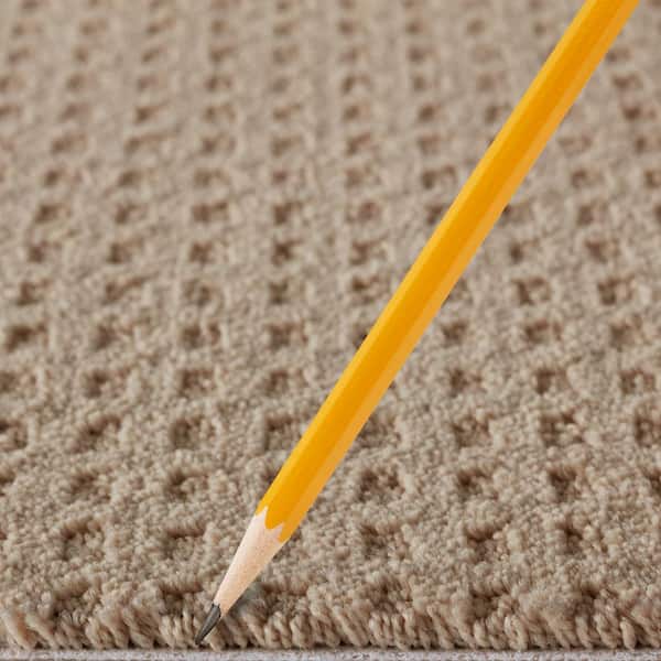 Canter  - Twig - Beige 38 oz. Triexta Pattern Installed Carpet