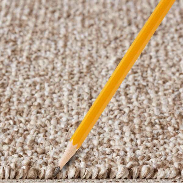 Hanville  - Southwest - Brown 27 oz. SD Polyester Loop Installed Carpet