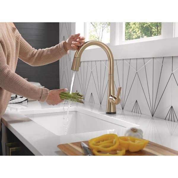 Monrovia Single-Handle Pull Down Sprayer Kitchen Faucet with Touch2O Technology in Lumicoat Champagne Bronze