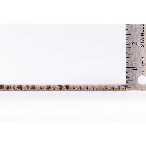 Pengrove Jordon Residential/Commercial 24 in. x 24 in. Glue-Down Carpet Tile (18 Tiles/Case) (72 sq.ft)