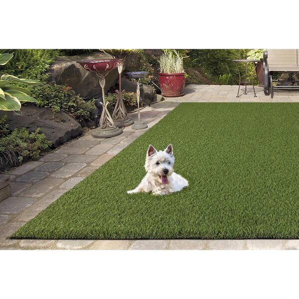 Soft Fescue 6 ft. x 8 ft. Green Artificial Grass Rug