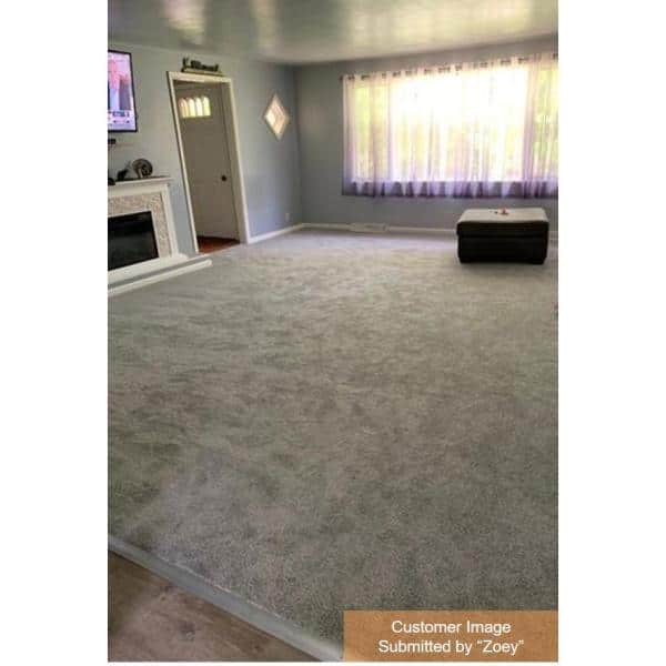 Lucky - Penny Charmed - Gray 40 oz. SD Polyester Texture Installed Carpet