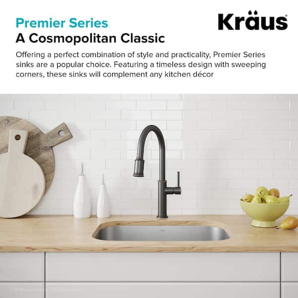Premier Undermount Stainless Steel 20 in. Single Bowl Kitchen Sink
