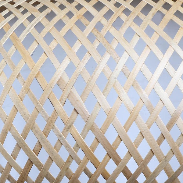 Linnea 60-Watt 1-Light Black Pendant with Stained Cane Shade