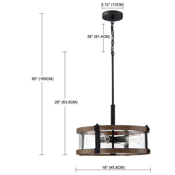 18 in. 4-Light Black Chandelier with Clear Seeded Glass Shades