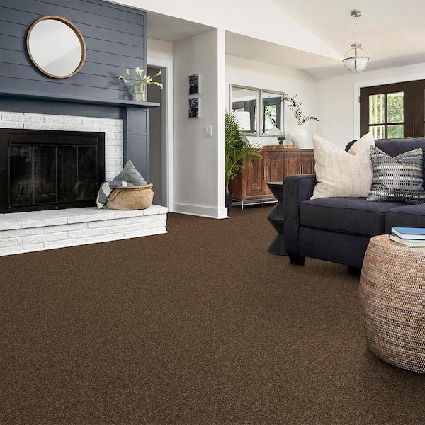 Alpine - Adventure - Brown 17.3 oz. Polyester Texture Installed Carpet