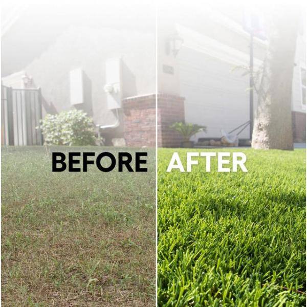 Allure 15 ft. Wide x Cut to Length Meadow Green Artificial Grass