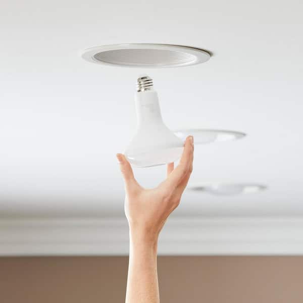 65-Watt Equivalent BR30 Dimmable Flood LED Light Bulb Daylight (12-Pack)