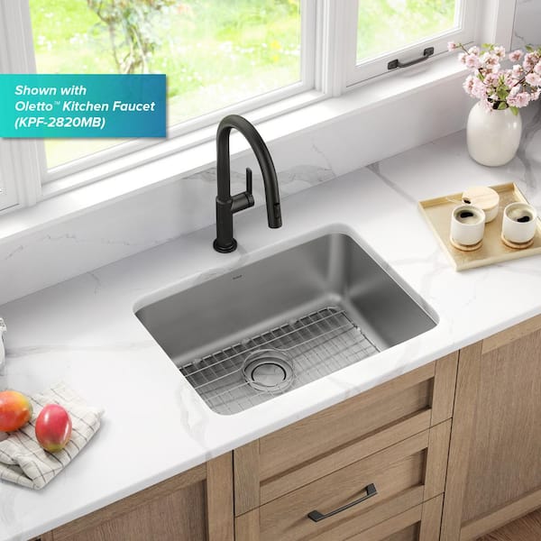 Dex 16-Gauge Stainless Steel 24.75 in. Single Bowl Undermount Kitchen Sink