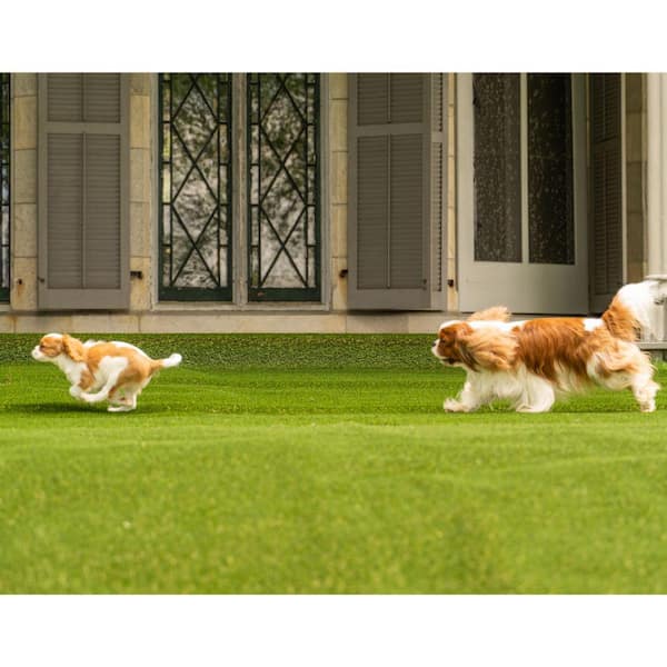Premium Pet Turf 3.75 ft. x 9 ft. Green Artificial Grass Rug