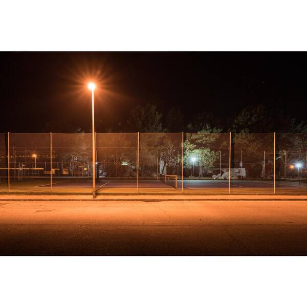 70-Watt ED17 Shape Clear High Pressure Sodium E26 Medium Base HID Light Bulb (1-Bulb)