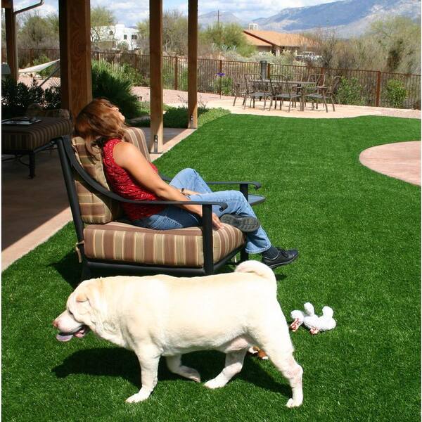Rye 15 ft. Wide x Cut to Length Green Artificial Grass Carpet