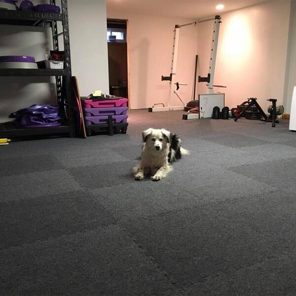 Royal Carpet Dark Gray Residential 24 in. x 24 in. Loose Lay Interlocking Carpet Tile (15 Tiles/Case) 60 sq. ft.