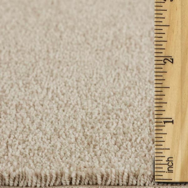 Still in Love II Every After Beige 54 oz. Blend Texture Installed Carpet